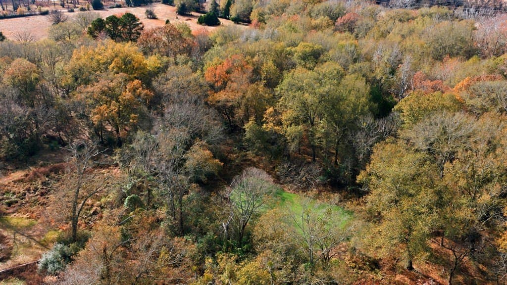 13.48 acres in Henderson County - photo 41