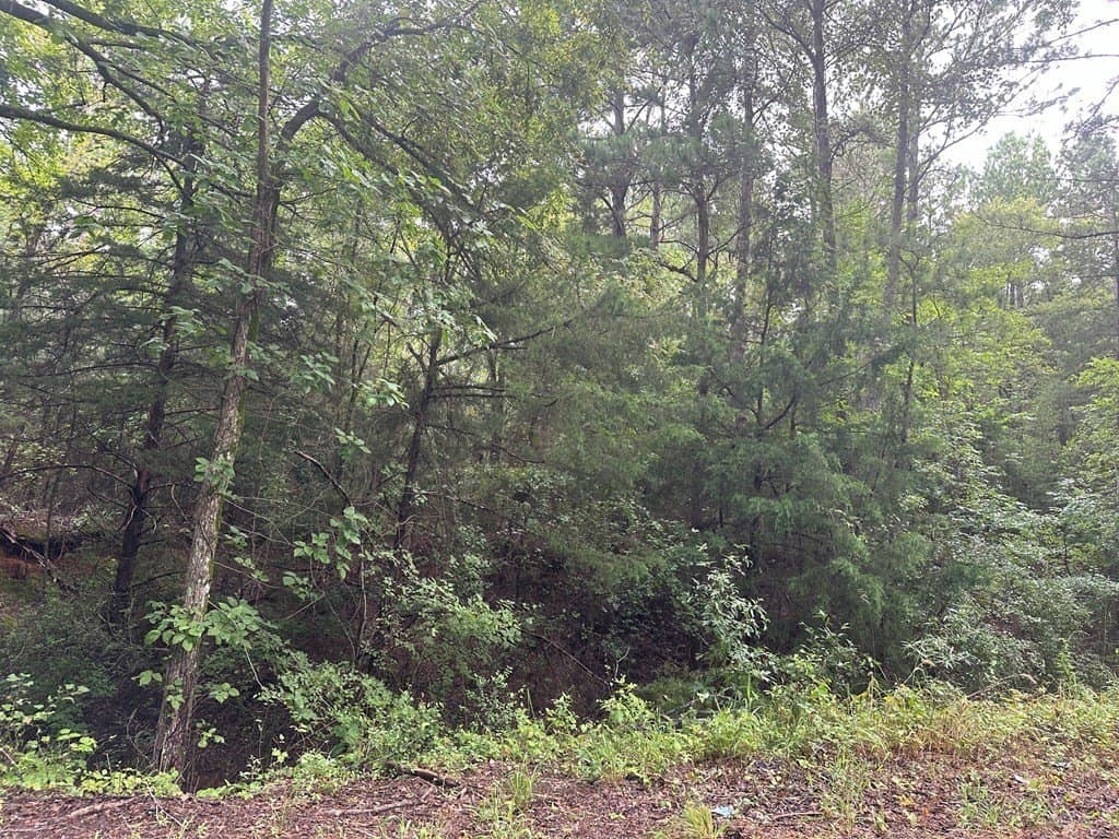 10.08 acres in Henderson County - photo 5