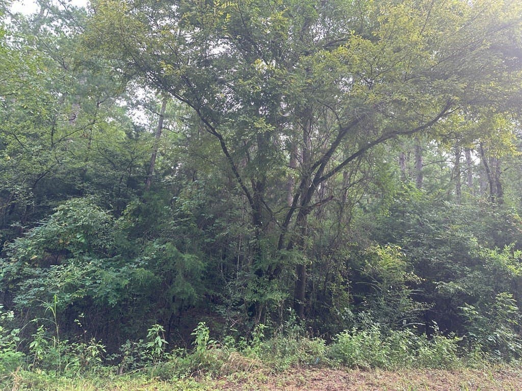 10.08 acres in Henderson County - photo 8