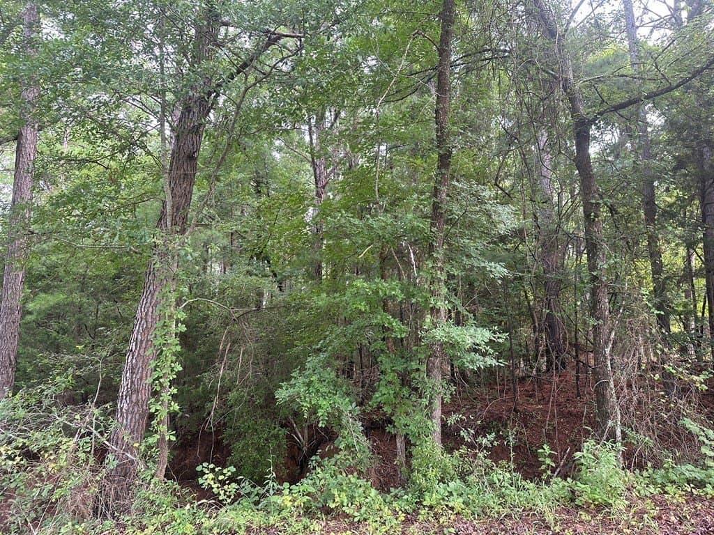 10.08 acres in Henderson County - photo 10