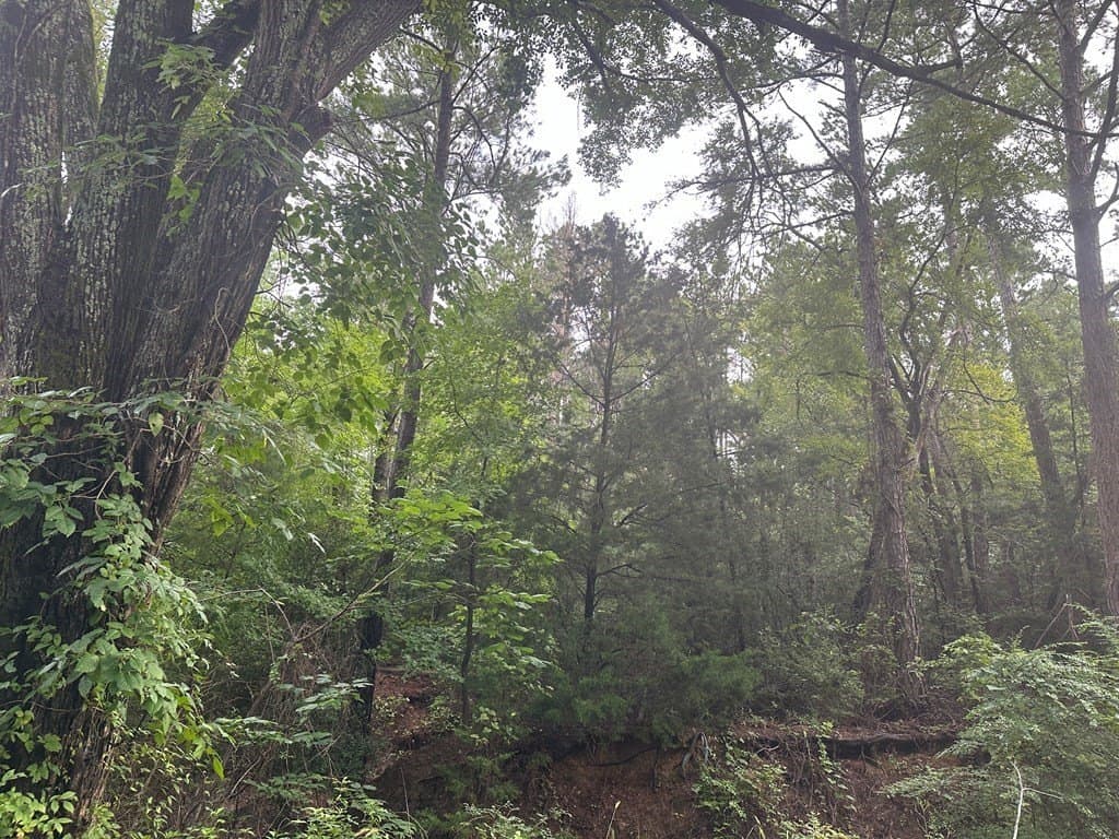 10.08 acres in Henderson County - photo 7