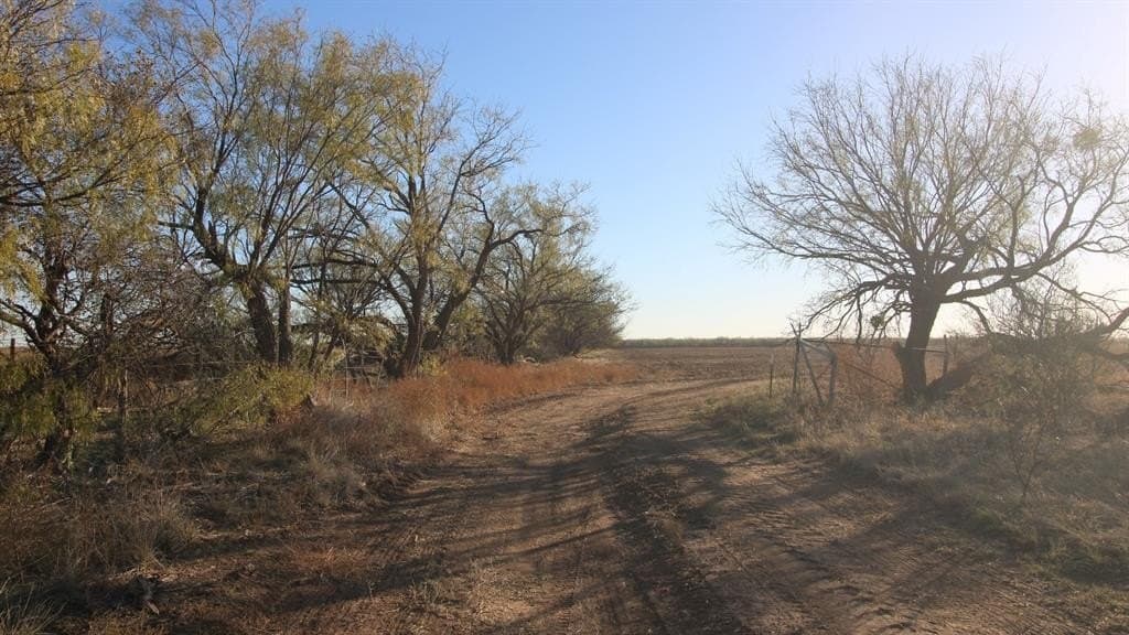 218 acres in Taylor County - photo 3