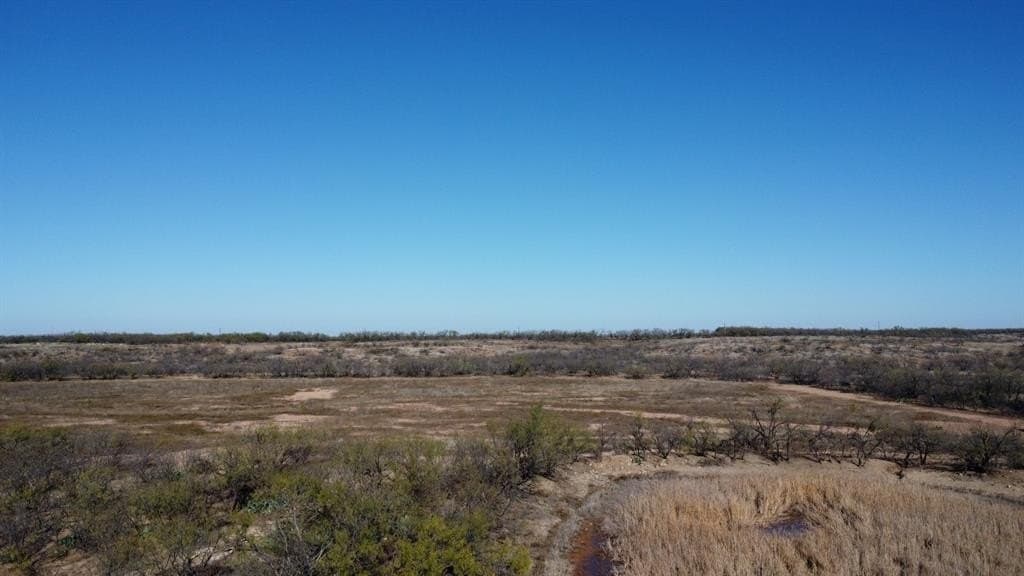 218 acres in Taylor County - photo 17
