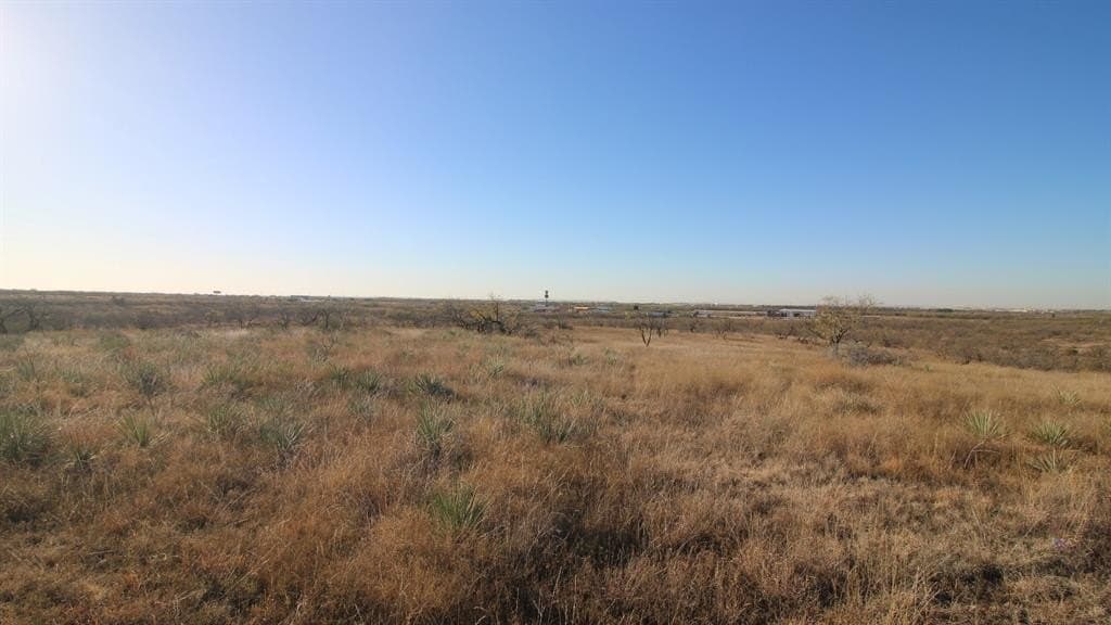 218 acres in Taylor County - photo 5