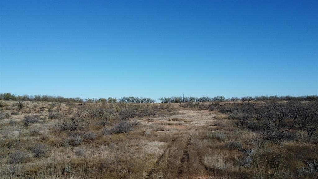 218 acres in Taylor County - photo 11
