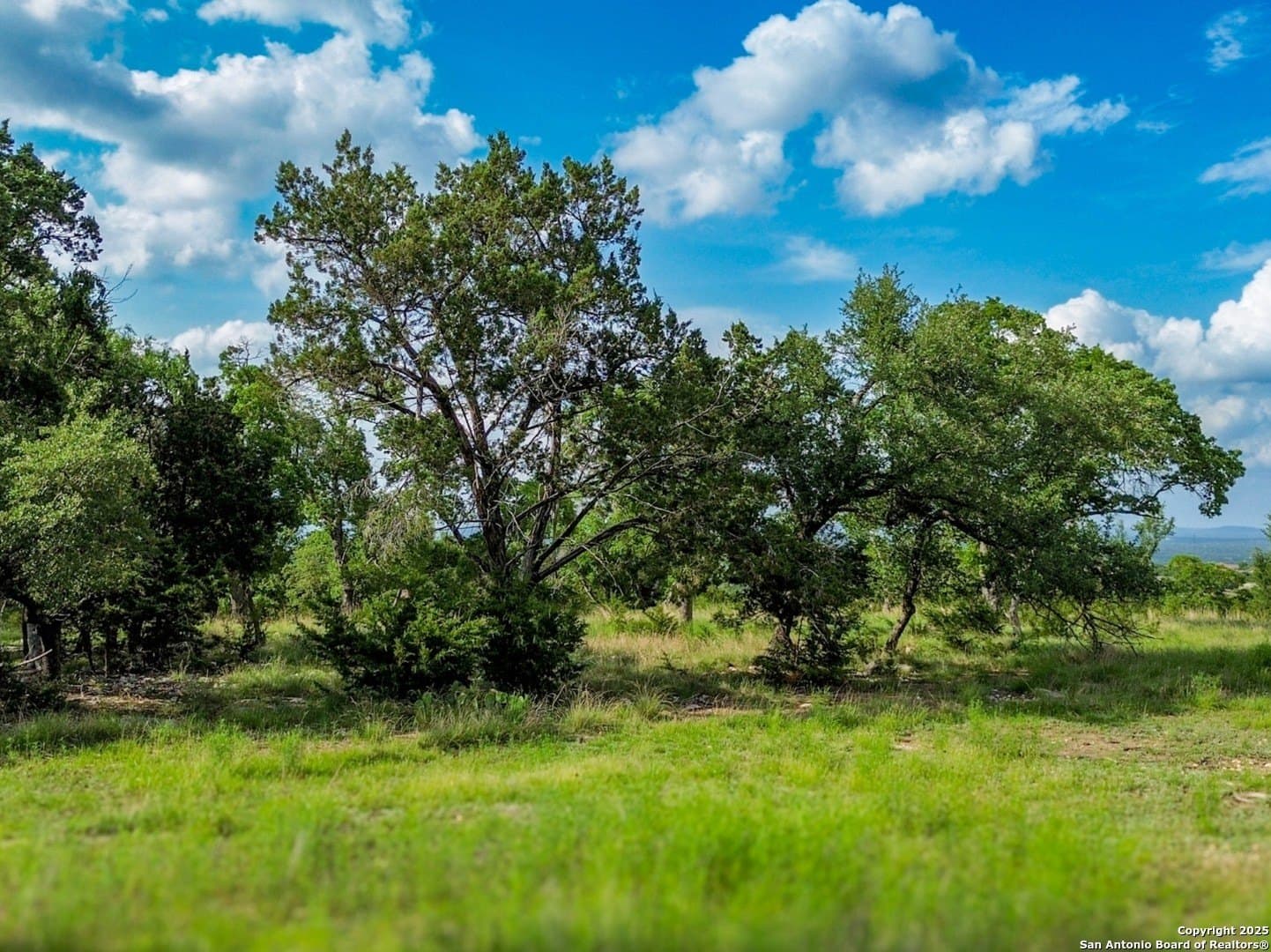 5.18 acres in Kendall County - photo 25