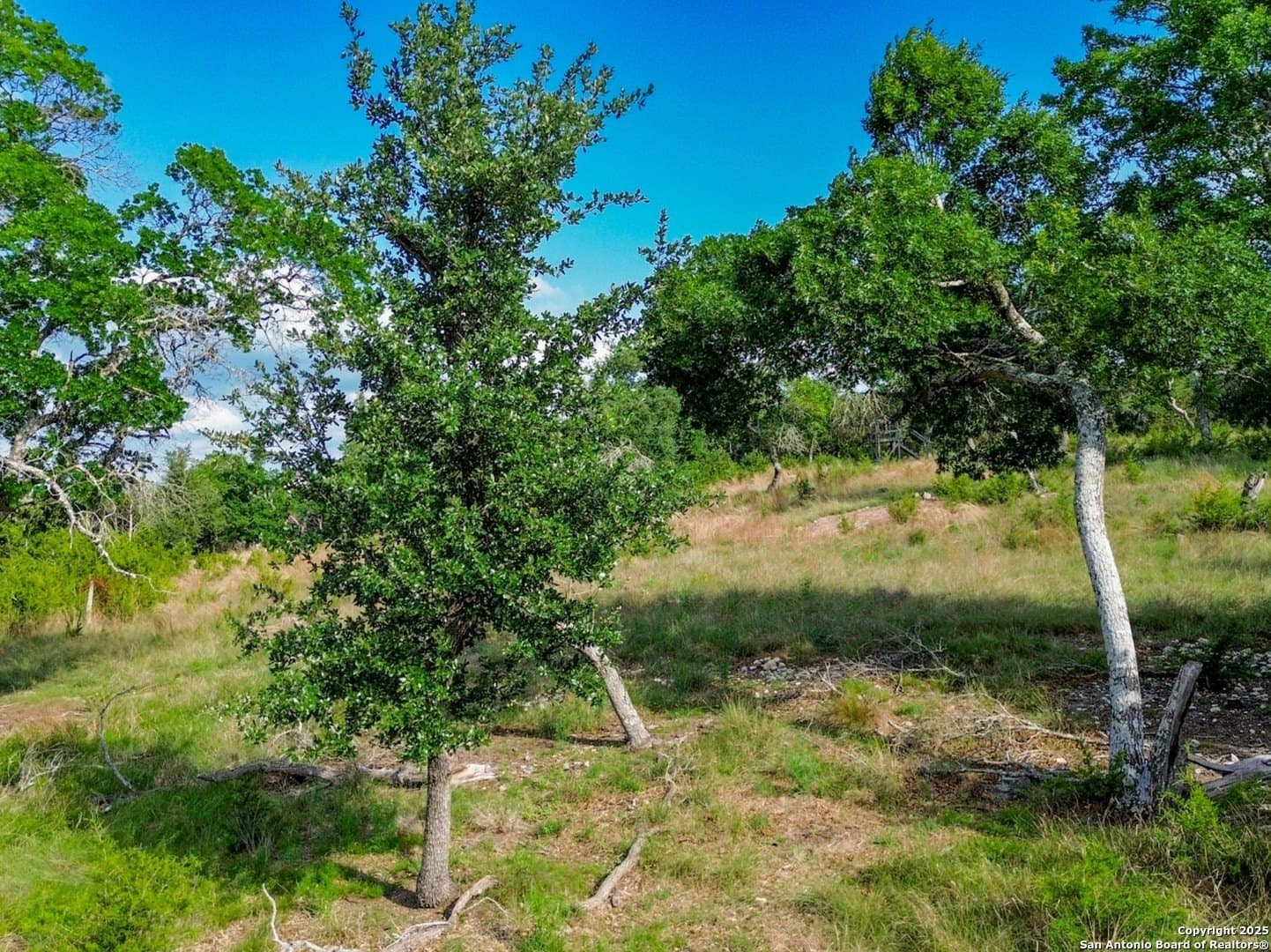 5.18 acres in Kendall County - photo 22