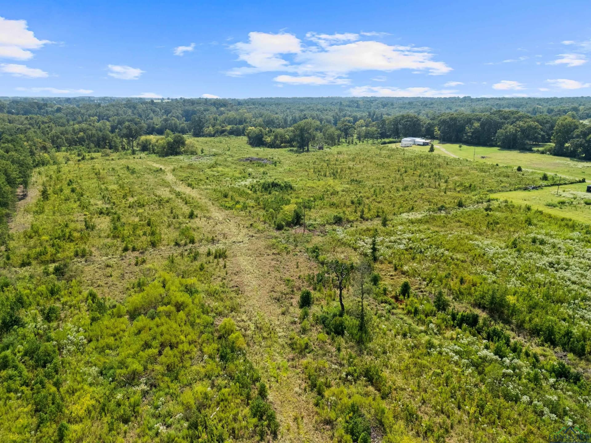 51.73 acres in Camp County - photo 27