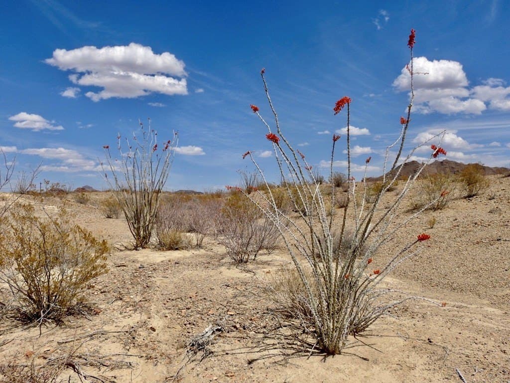 3 acres in Brewster County - photo 18