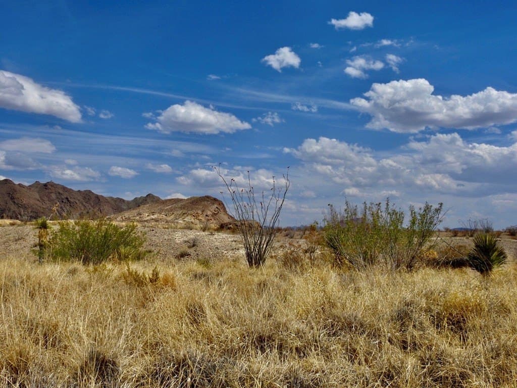 3 acres in Brewster County - photo 12