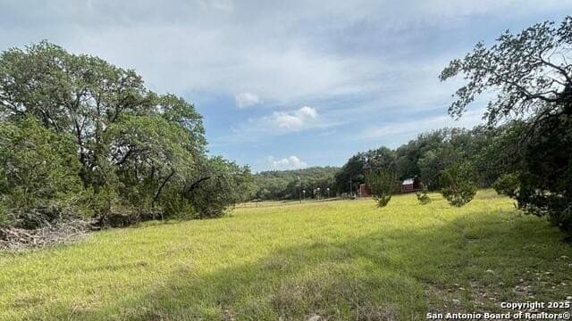 21.77 acres in Medina County - photo 34
