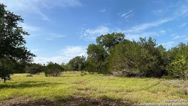 21.77 acres in Medina County - photo 3