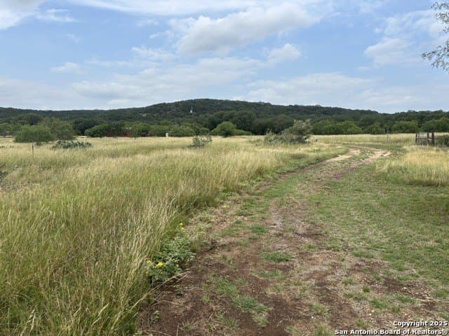 21.77 acres in Medina County - photo 38