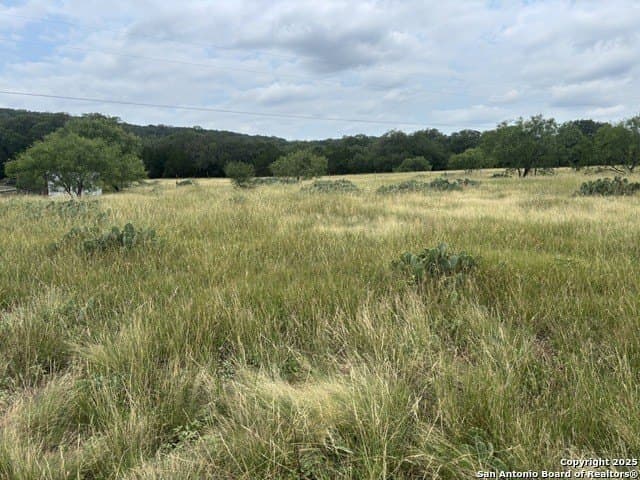 21.77 acres in Medina County - photo 42