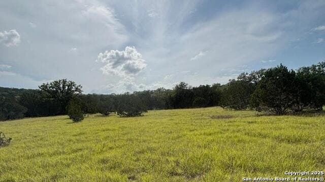 21.77 acres in Medina County - photo 5