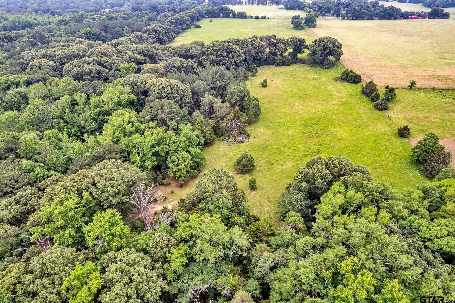 44 acres in Smith County - photo 4