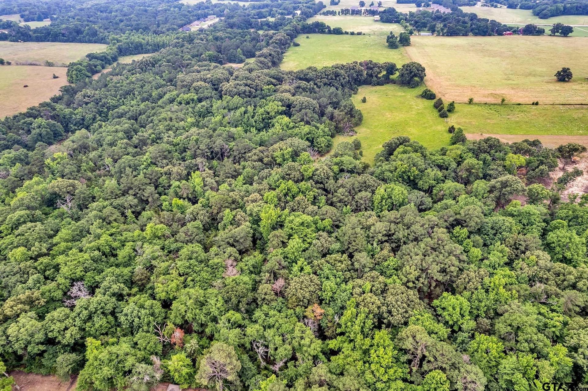 44 acres in Smith County - photo 3