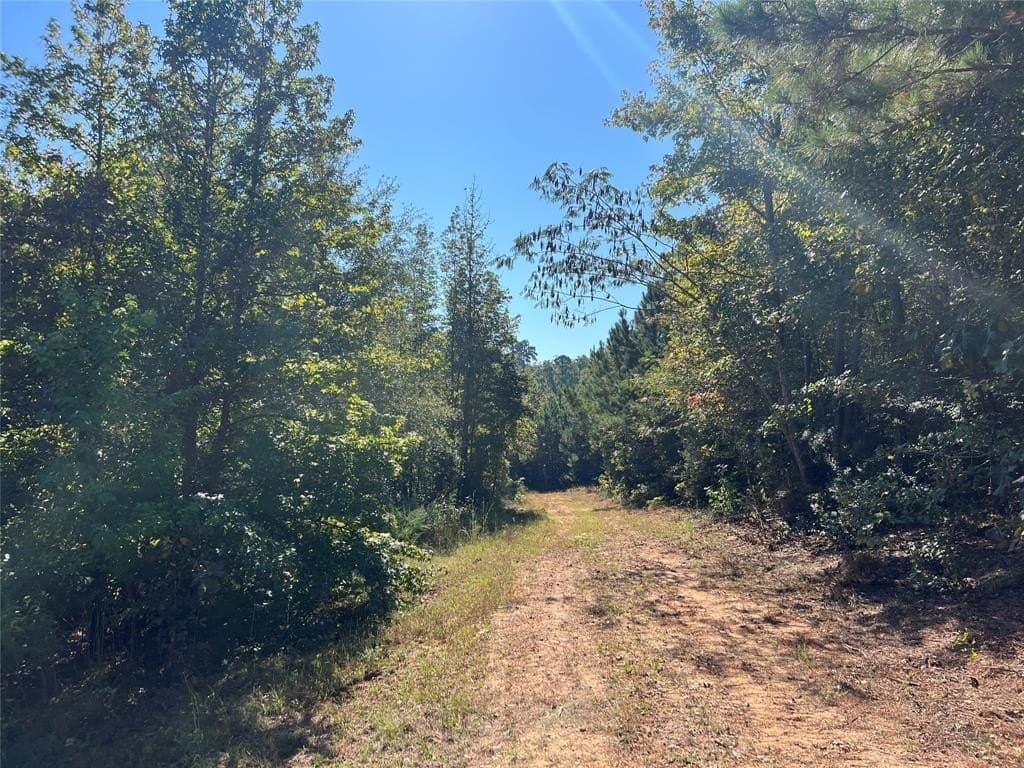 18.18 acres in Cass County - photo 7