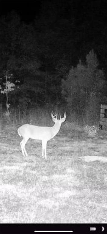 18.18 acres in Cass County - photo 13