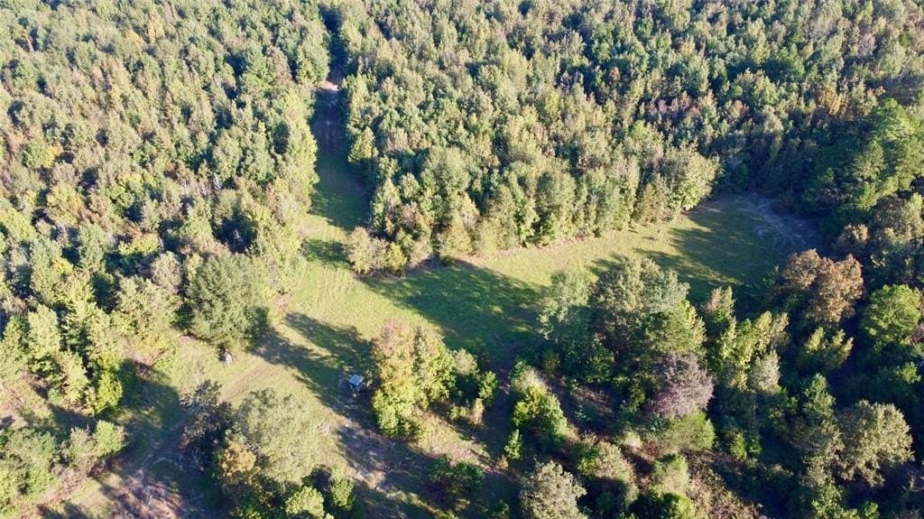 18.18 acres in Cass County - photo 3