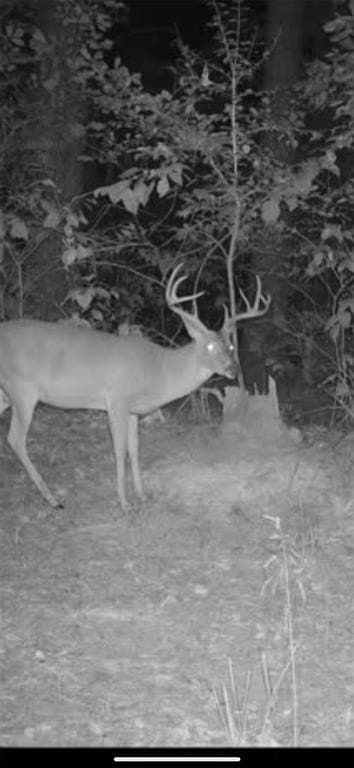 18.18 acres in Cass County - photo 9
