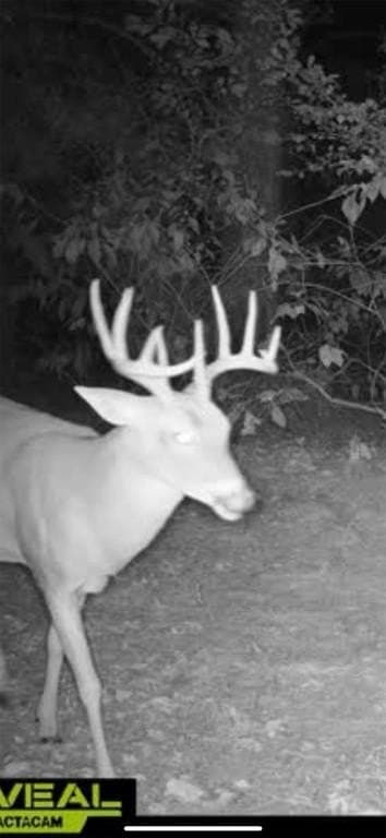 18.18 acres in Cass County - photo 11