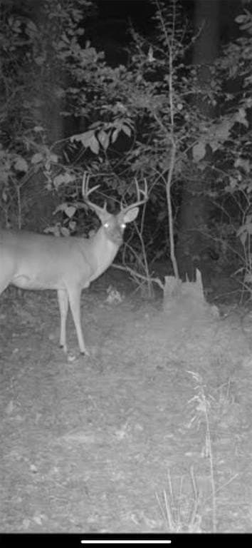 18.18 acres in Cass County - photo 10