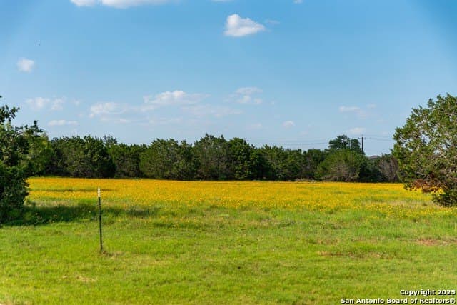 10.36 acres in Comal County - photo 40