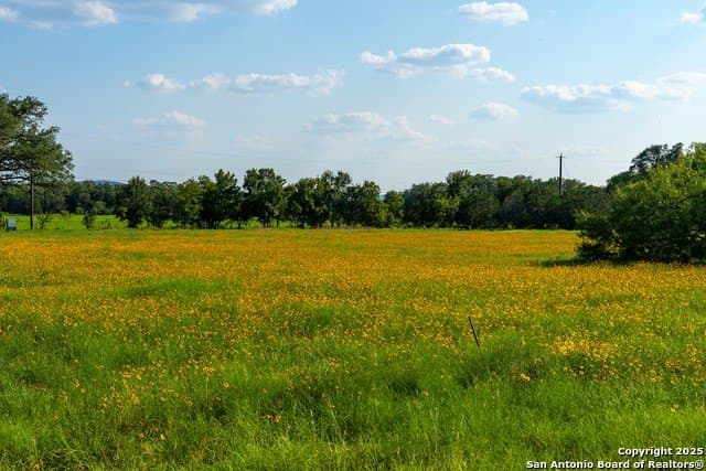 10.36 acres in Comal County - photo 41