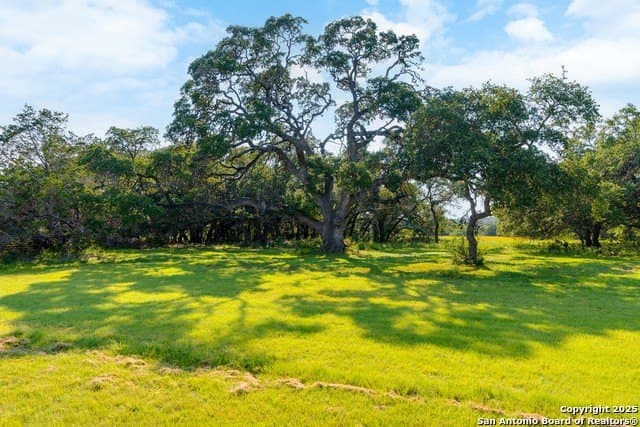 10.36 acres in Comal County - photo 36