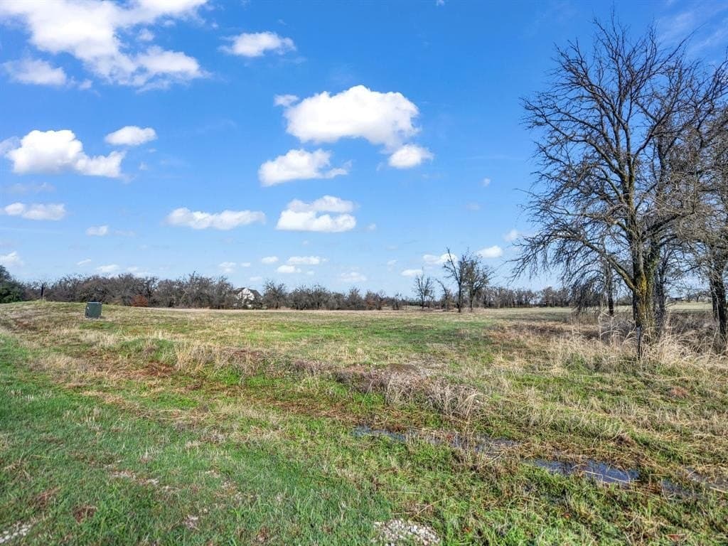 10.35 acres in Parker County - photo 5