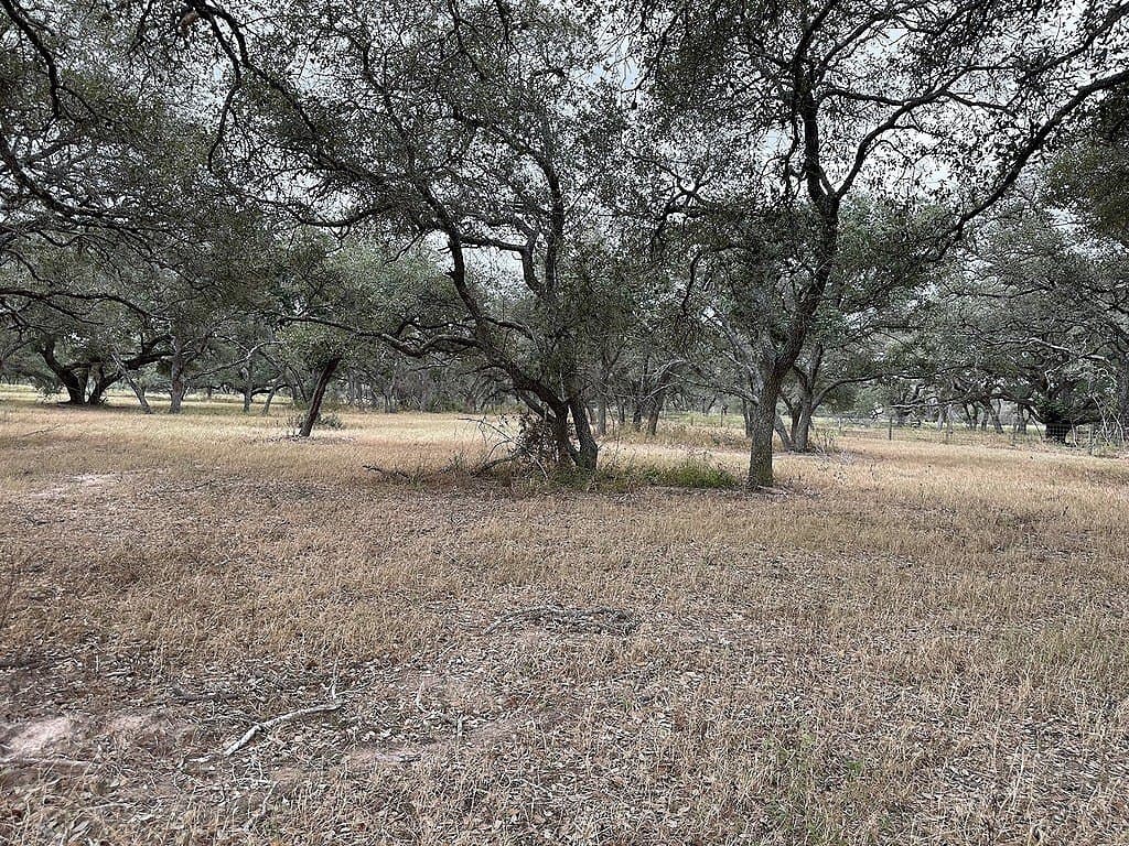 10 acres in Colorado County - photo 7