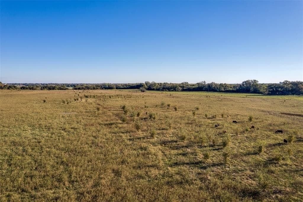 68 acres in Grayson County - photo 5
