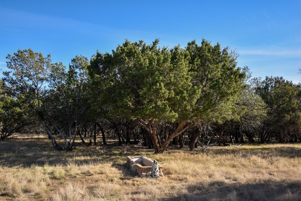 27.05 acres in McCulloch County - photo 24