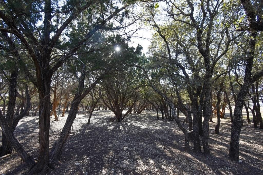 27.05 acres in McCulloch County - photo 25