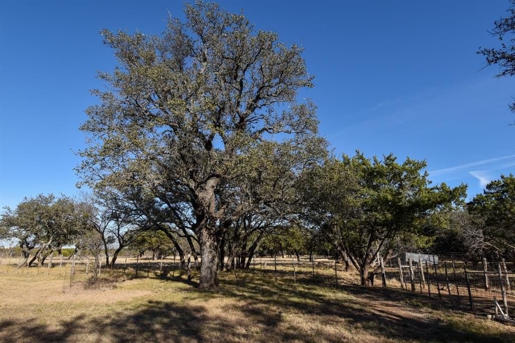 27.05 acres in McCulloch County - photo 19