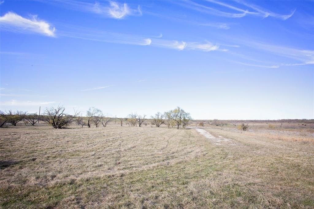 29.16 acres in Young County - photo 16