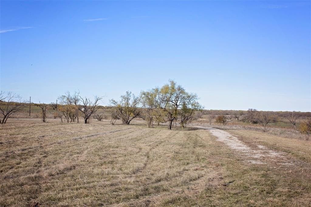 29.16 acres in Young County - photo 17