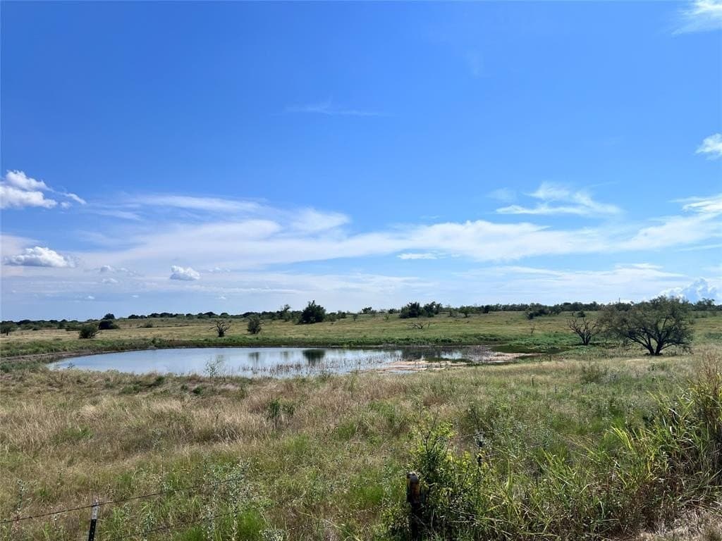 29.16 acres in Young County - photo 5