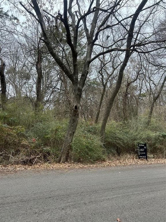 0.29 acres in Dallas County - photo 3
