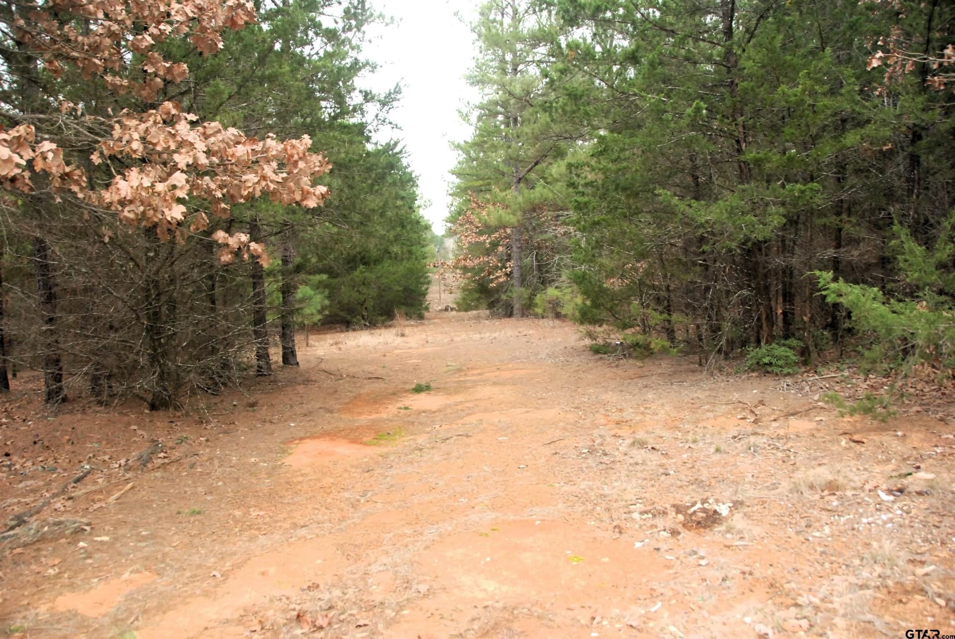 47.88 acres in Smith County - photo 2