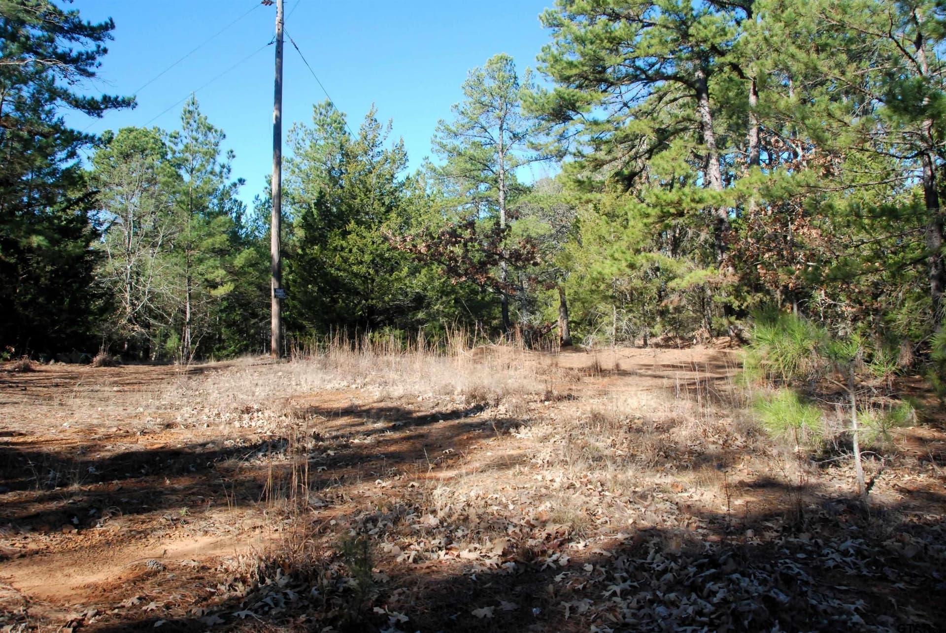 47.88 acres in Smith County - photo 4