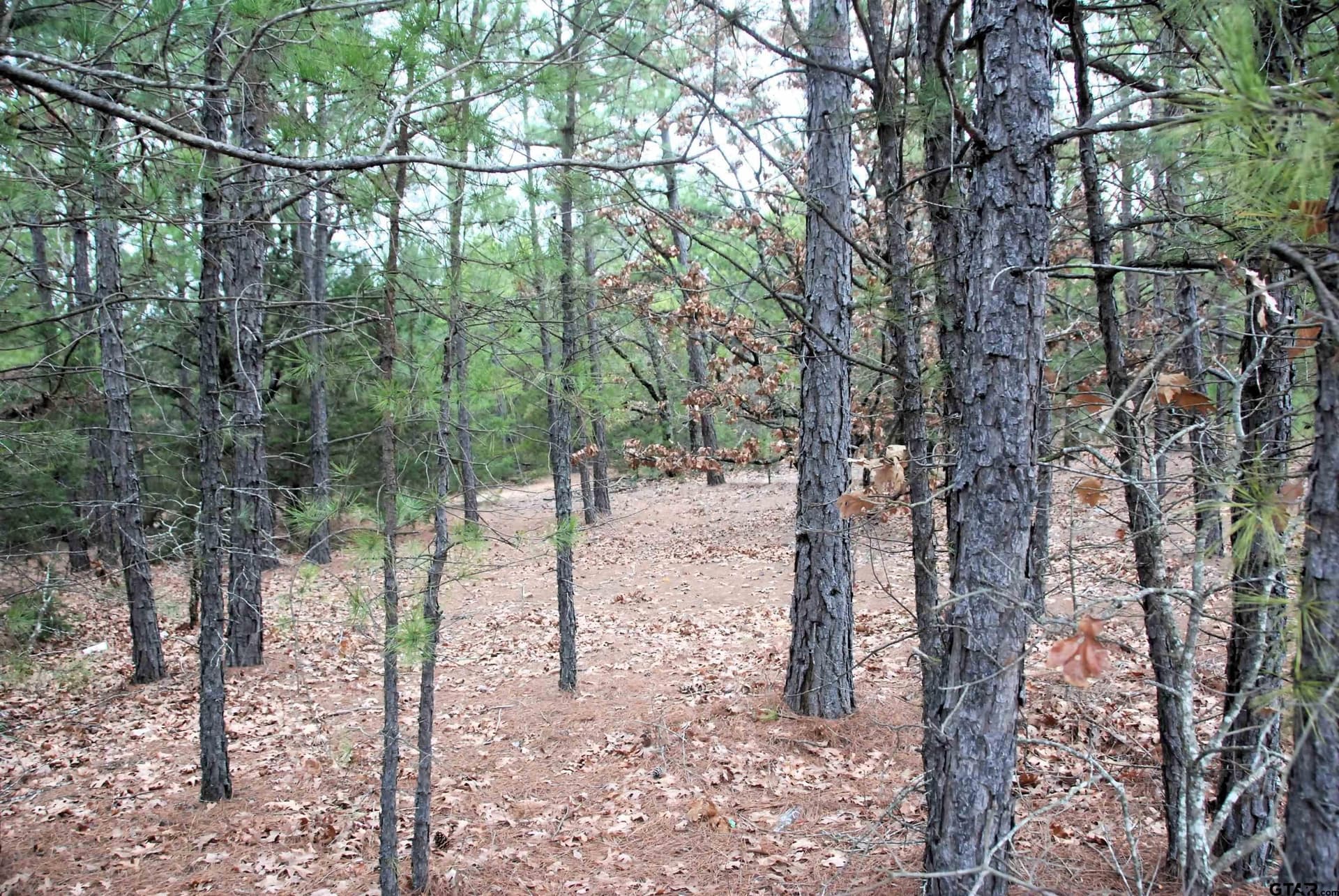 47.88 acres in Smith County - photo 9