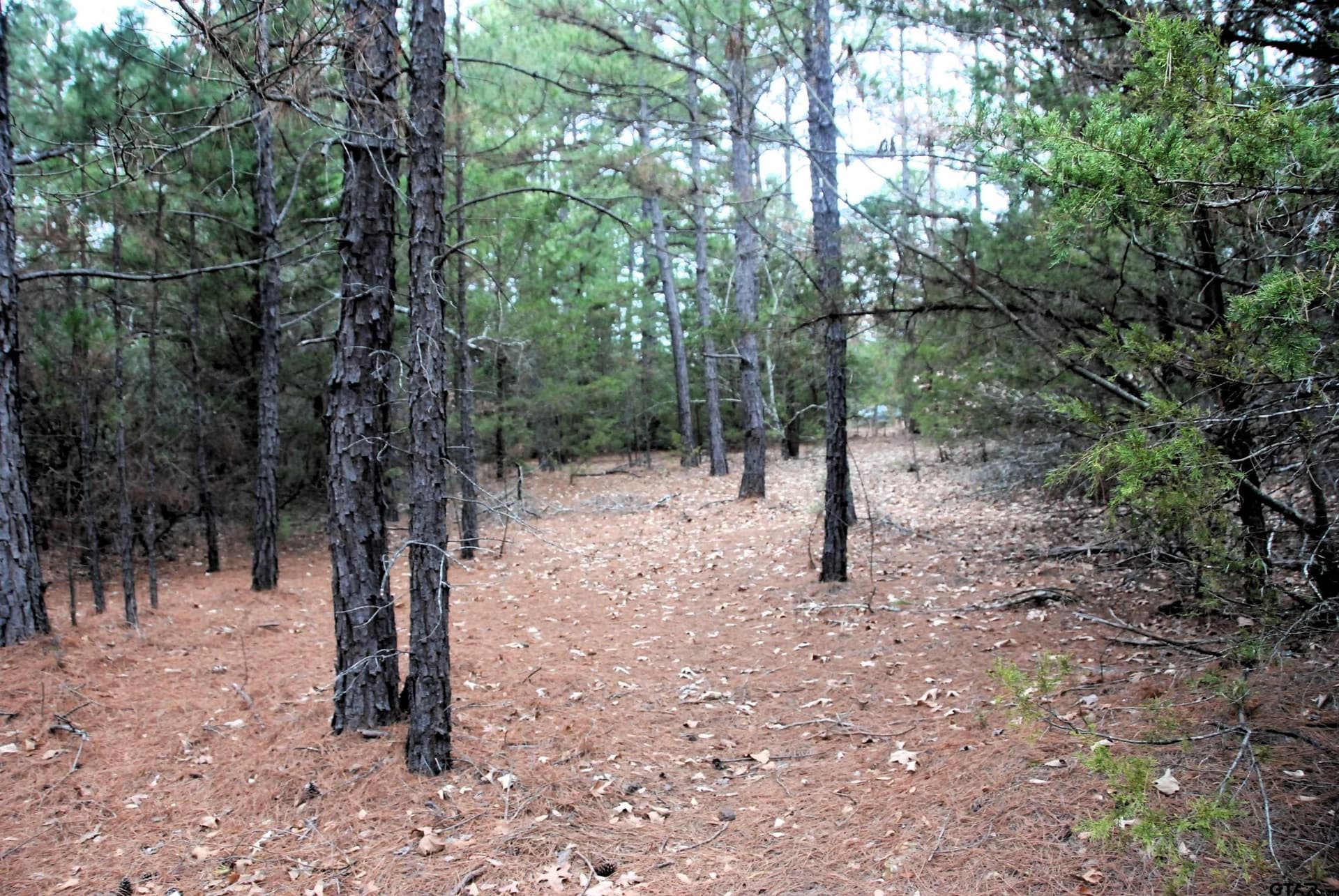 47.88 acres in Smith County - photo 8
