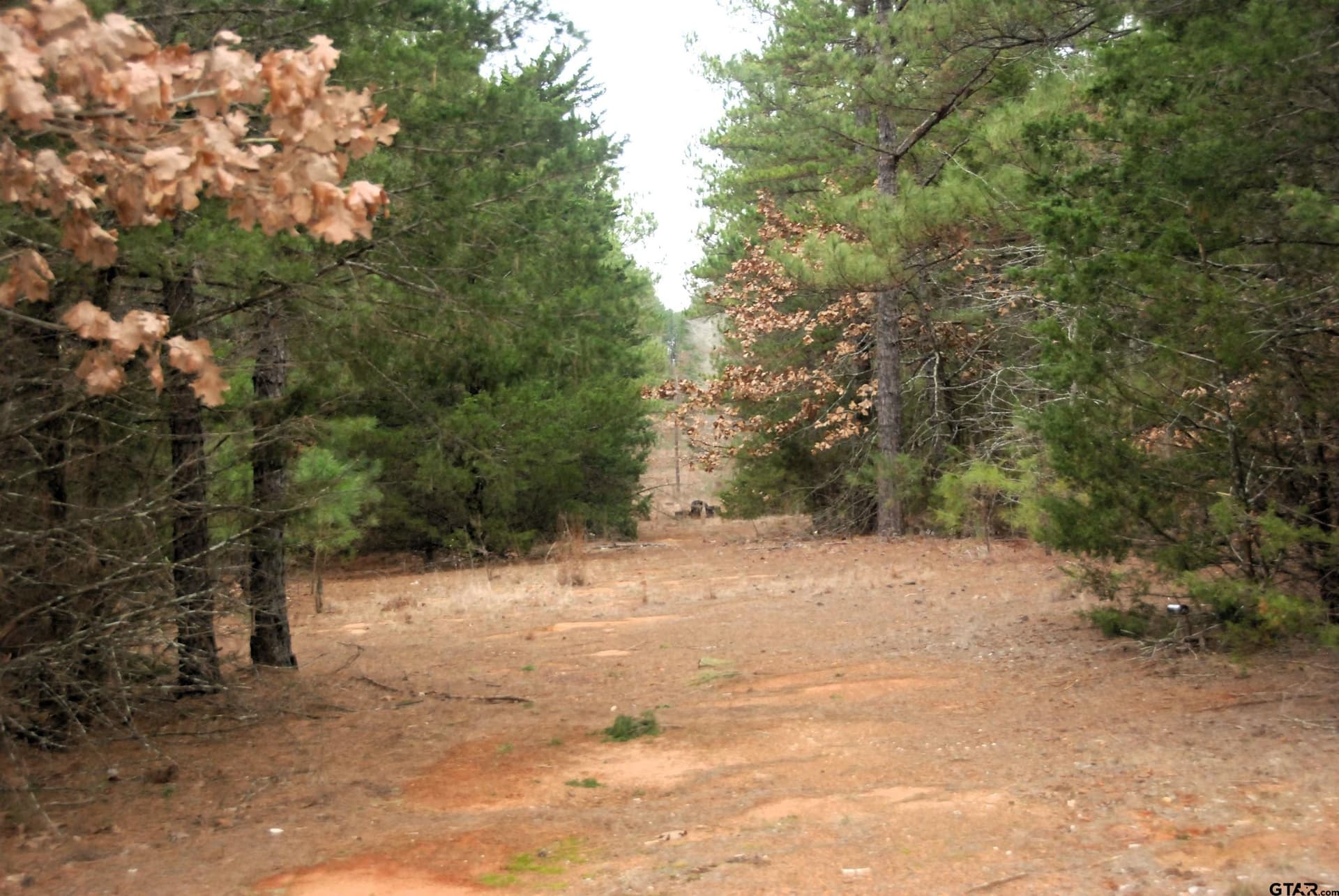 47.88 acres in Smith County - photo 3