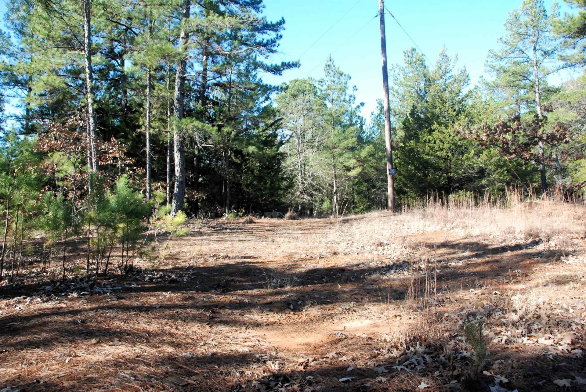 47.88 acres in Smith County - photo 5
