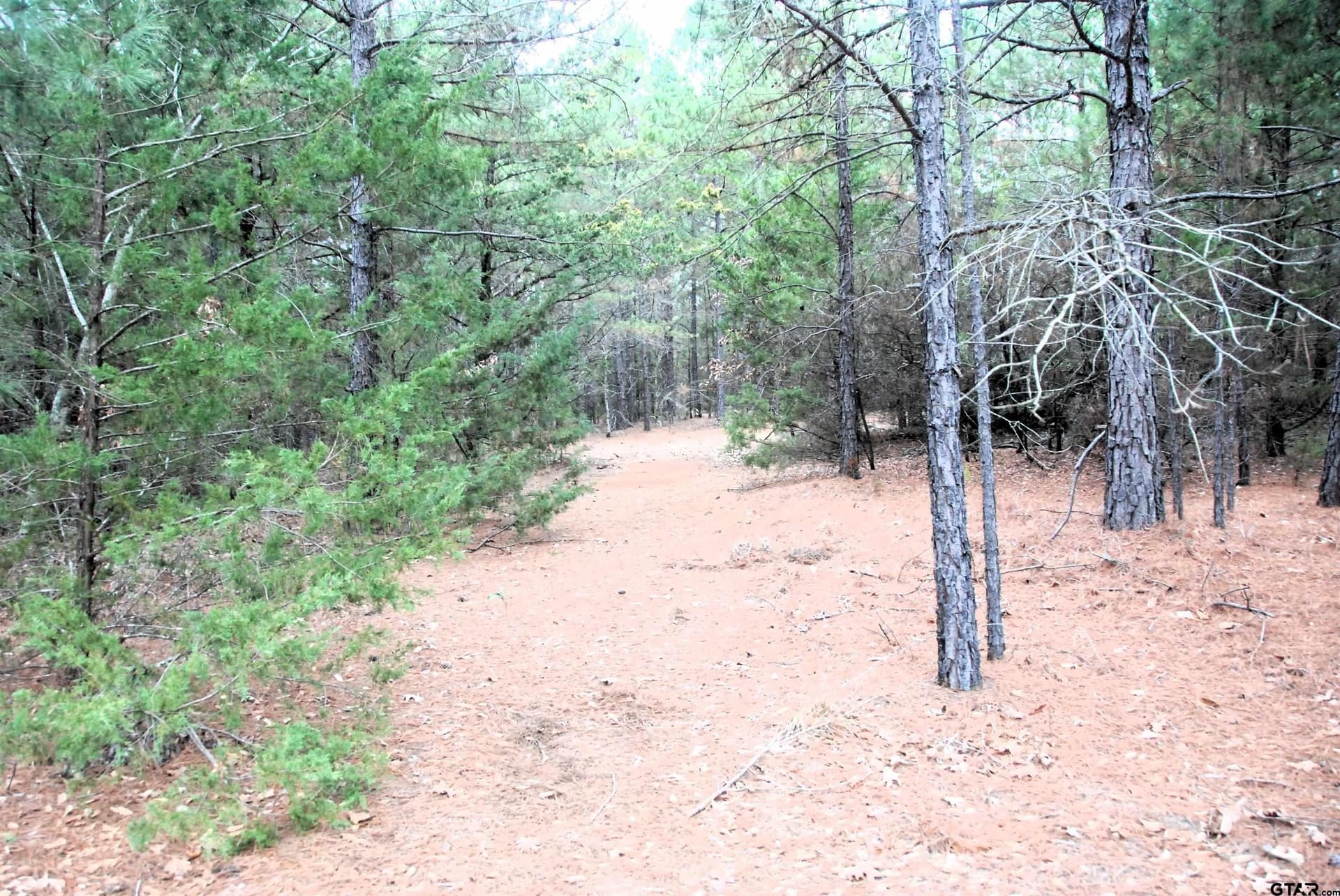 47.88 acres in Smith County - photo 10