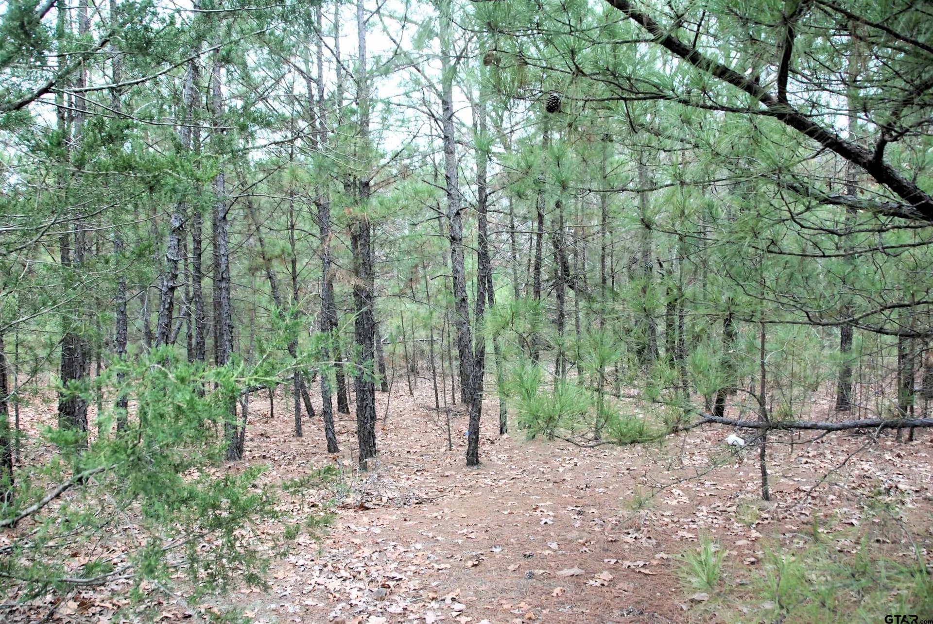 47.88 acres in Smith County - photo 7