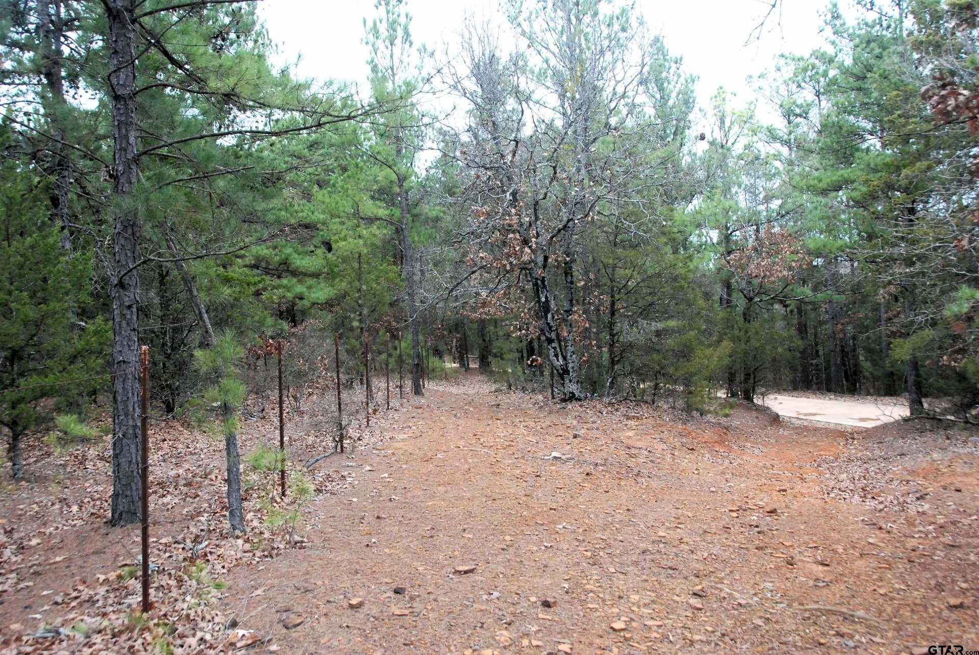 47.88 acres in Smith County - photo 12