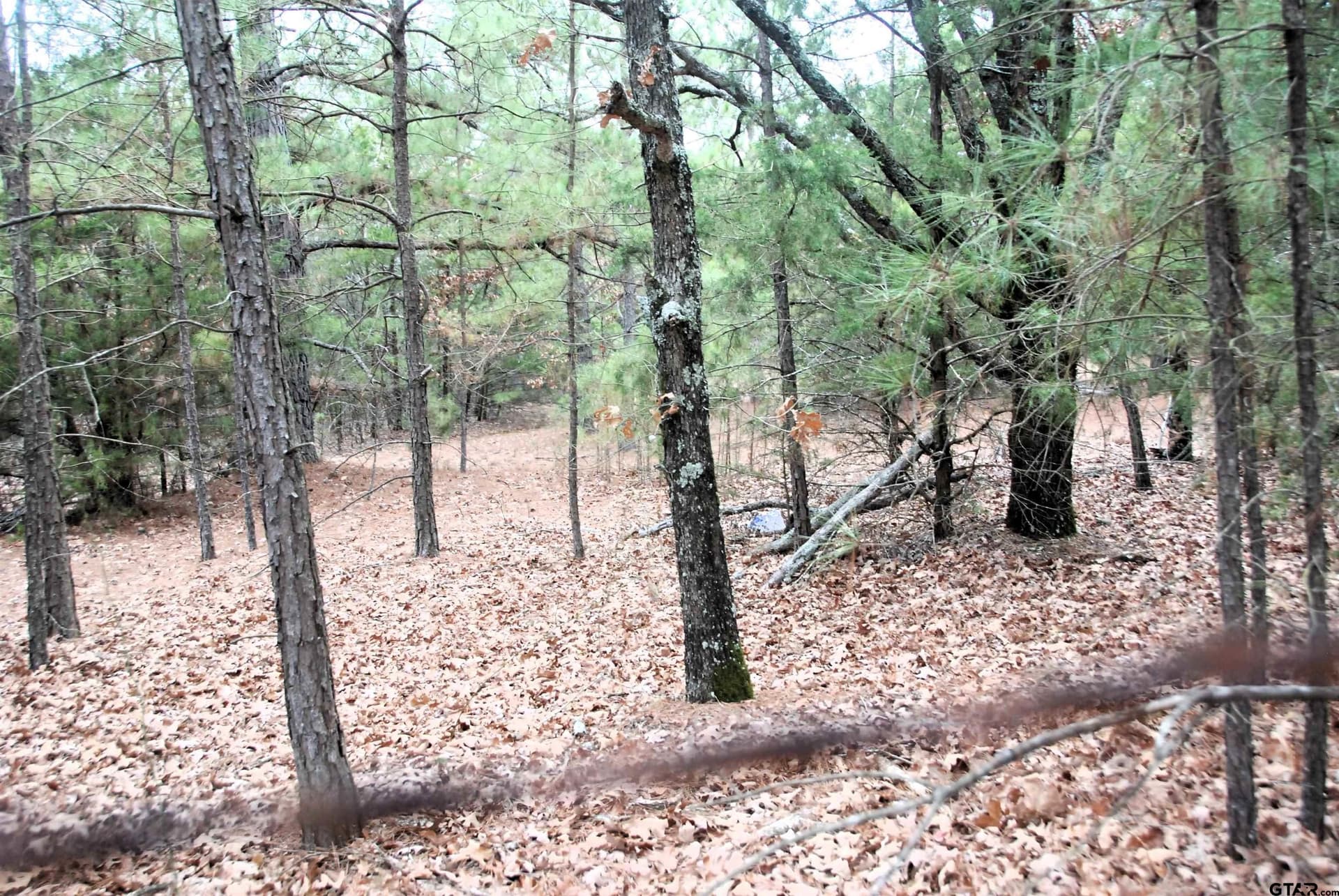 47.88 acres in Smith County - photo 6